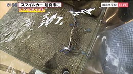姶良市 綺麗な海岸