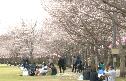 伊佐市「忠元公園」